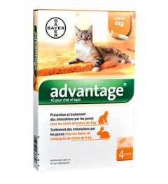 Advantage 40 Chat Lapin 4 Pipettes