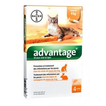 Advantage 40 Chat Lapin 4 Pipettes