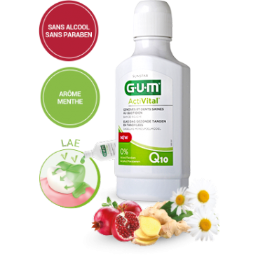 Gum Activital Bain de Bouche 300Ml