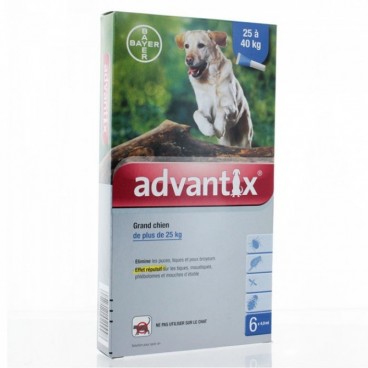 Advantix Grand Chien Spot On 6 pipettes