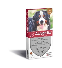 Advantix Très Grand Chien Spot On 4 pipettes