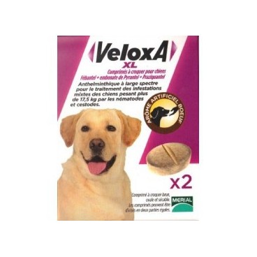 Veloxa XL Vermifuge Chien 2 Comprimés pas cher