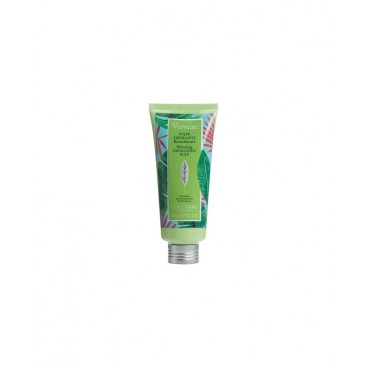 Occitane Pulpe Exfoliante Rafraichissante Verveine 200Ml