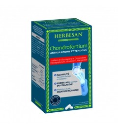 Herbesan Chondrofortium 90 Comprimés