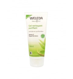 Weleda Saule Gel Nettoyant Purifiant 100Ml