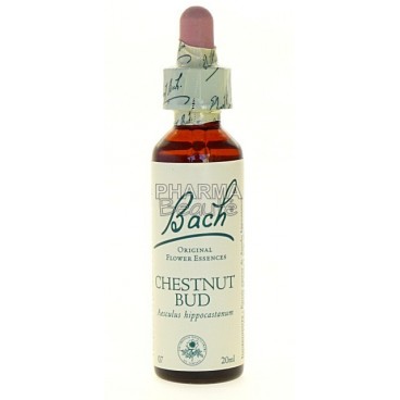 Fleurs de Bach Chestnut Bud 20 ml pas cher