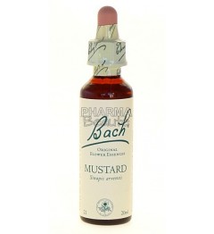 Fleurs de Bach Mustard 20 ml pas cher